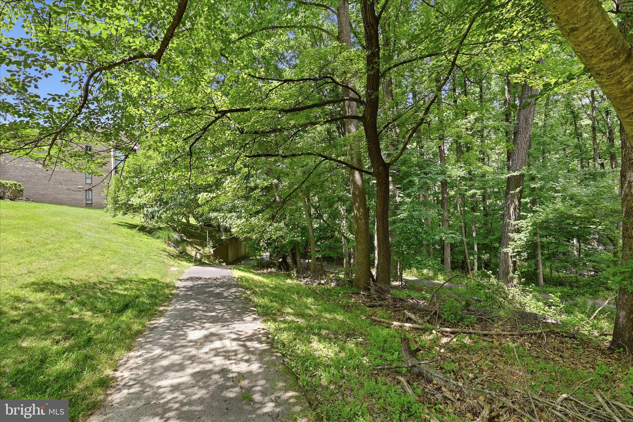 11533 Pine Cone Court Reston, VA 20191 - Photo 37 of 60 Pathway Near Home