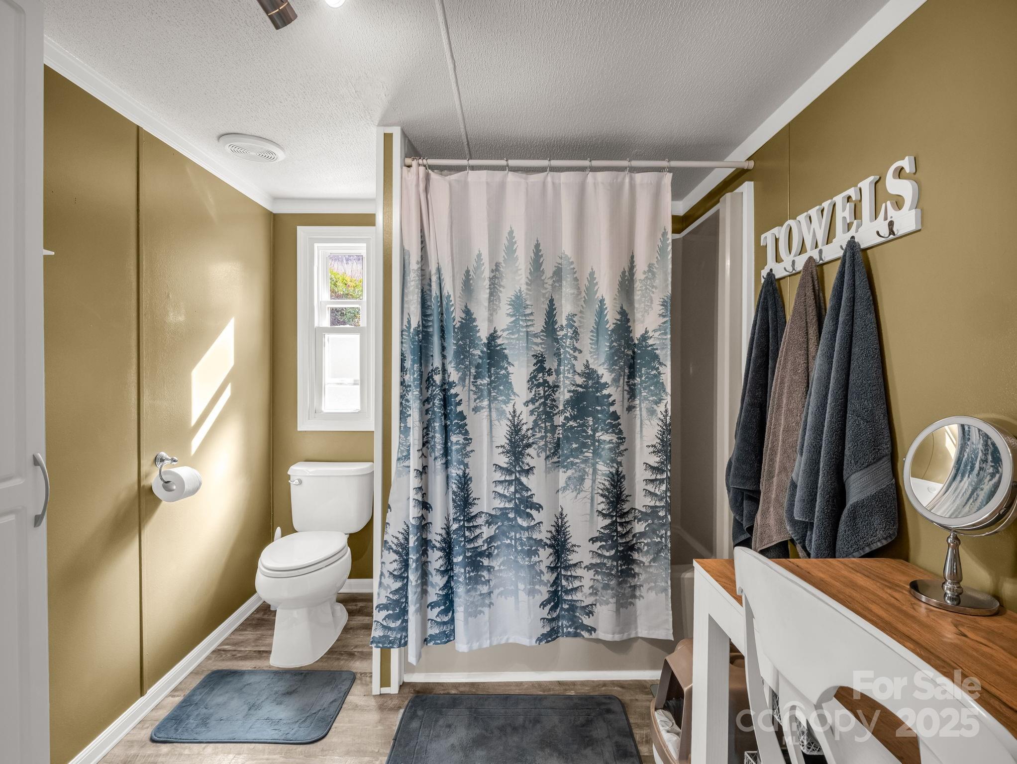 106 Hazy Day Swannanoa, NC 28778 - Photo 12 of 30 a bathroom with a toilet and a shower