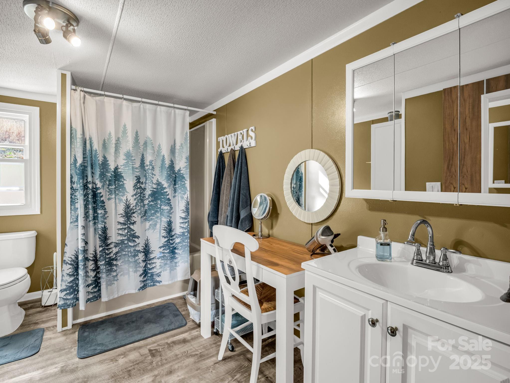 106 Hazy Day Swannanoa, NC 28778 - Photo 13 of 30 a bathroom with a sink mirror vanity and toilet