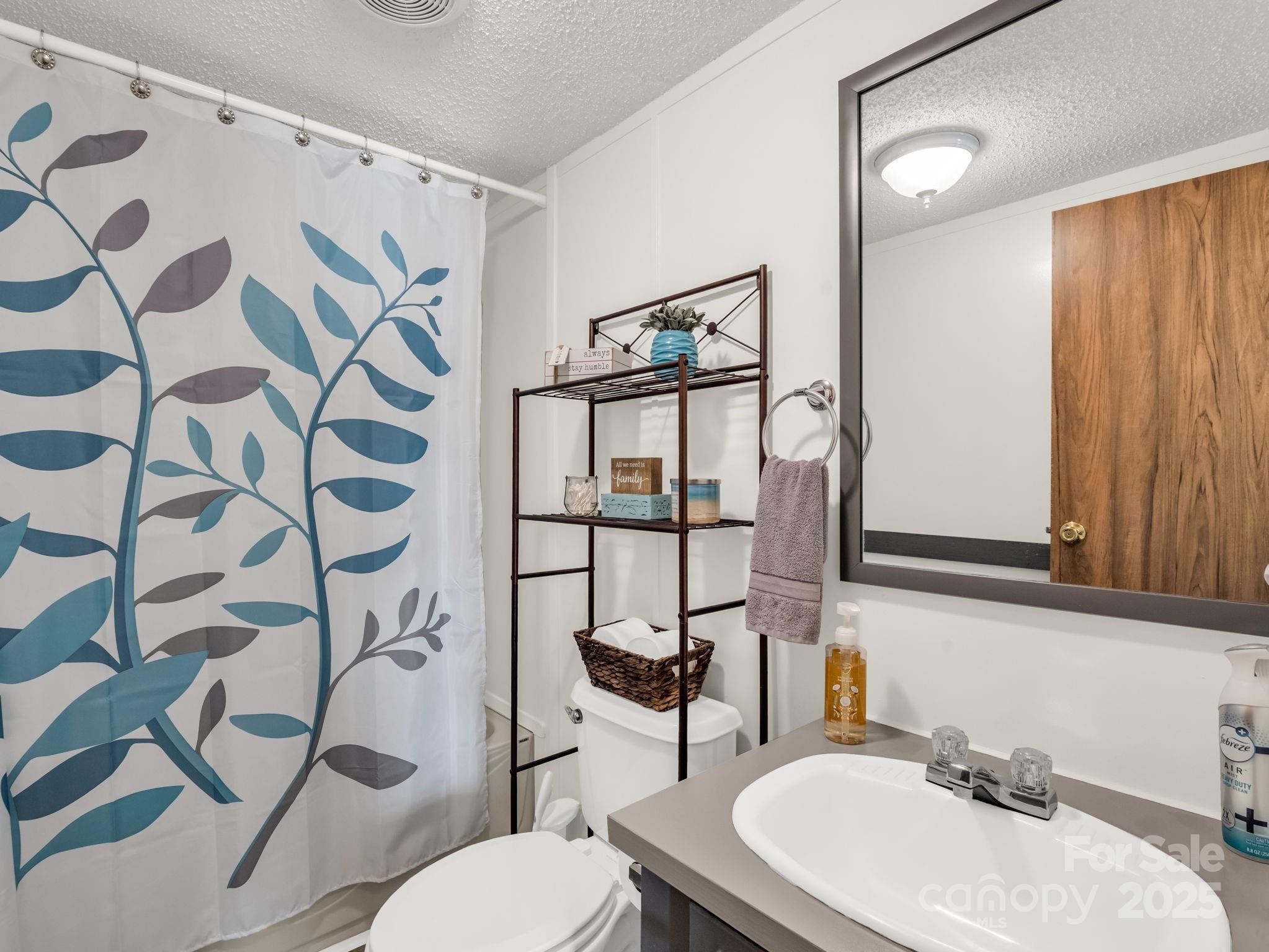 106 Hazy Day Swannanoa, NC 28778 - Photo 17 of 30 a bathroom with a sink toilet and mirror
