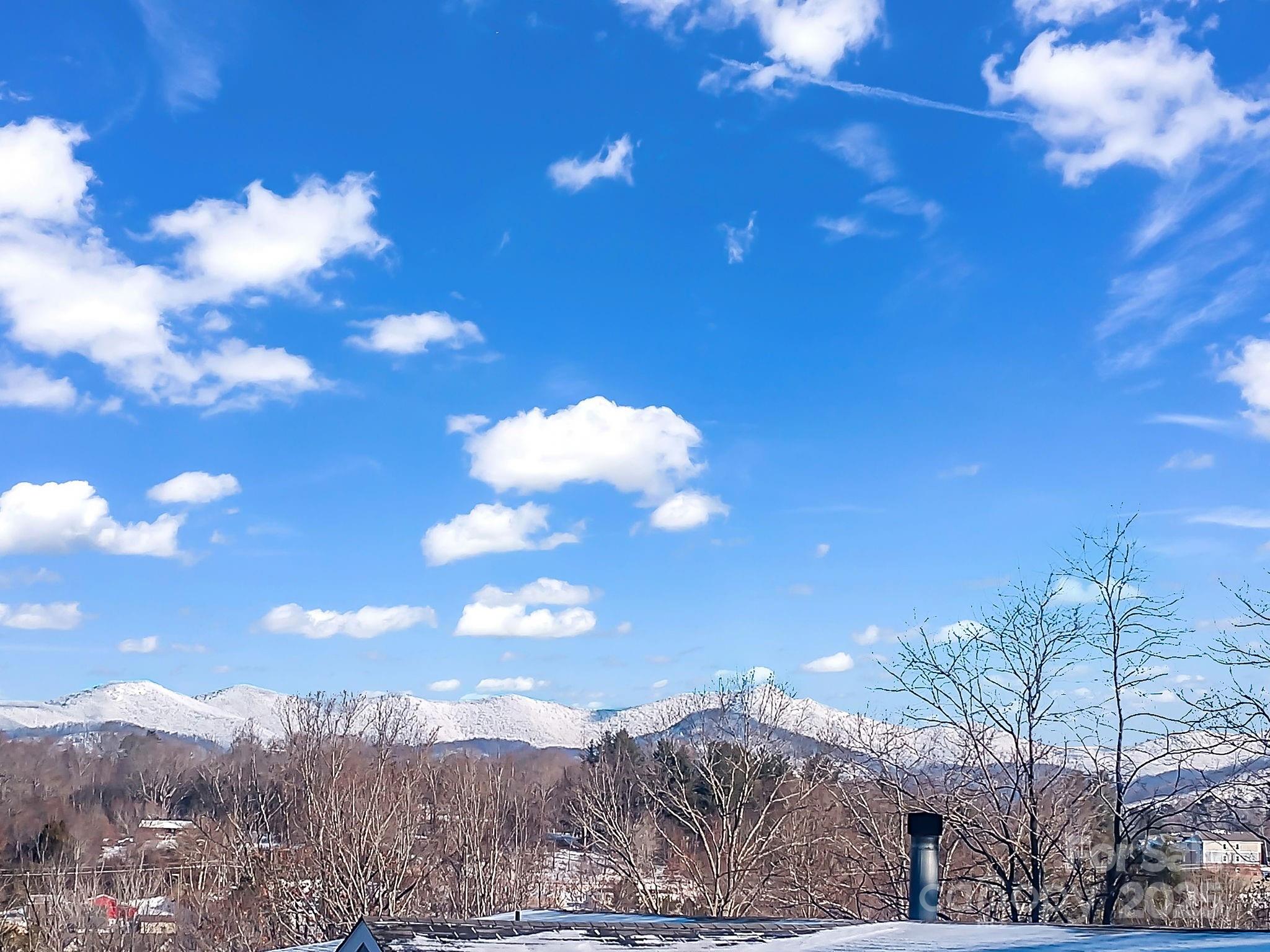 106 Hazy Day Swannanoa, NC 28778 - Photo 28 of 30 a view of a house with a yard
