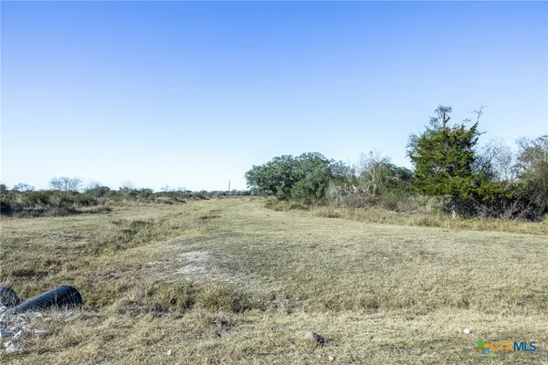 a view of a dry yard with trees in the background