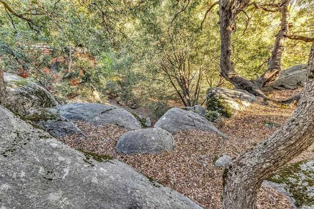 a backyard of a house with large trees and outdoor seating