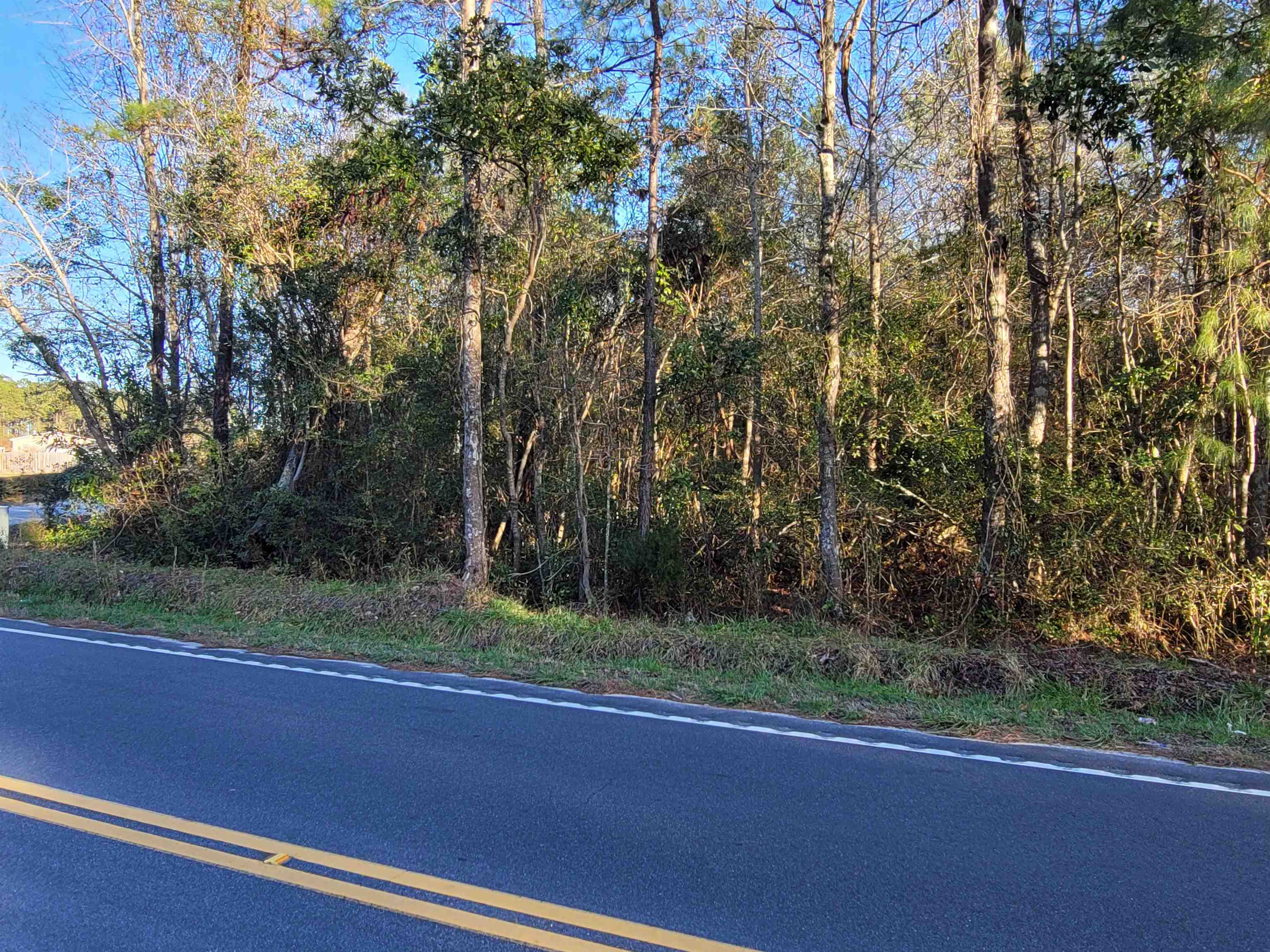 Tbd Lot 3 Tbd Drive Loris, SC 29569 - Photo 8 of 9