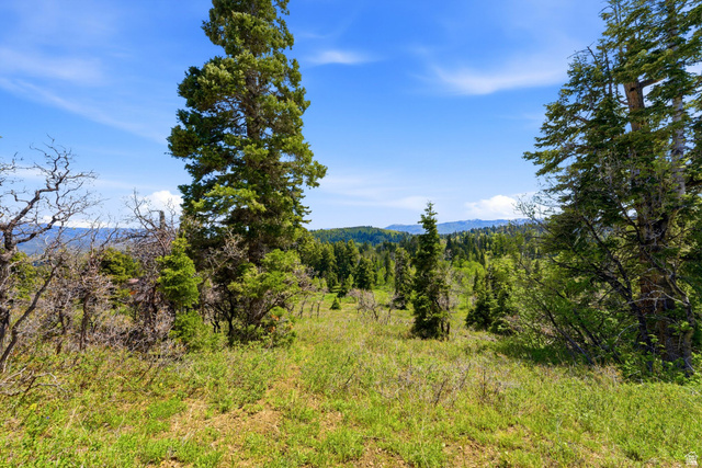 140 West Elk Road, Unit 140 Coalville, UT 84017 - Photo 25 of 29
