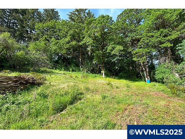 7255 Bates Road South Salem, OR 97306 - Photo 12 of 36