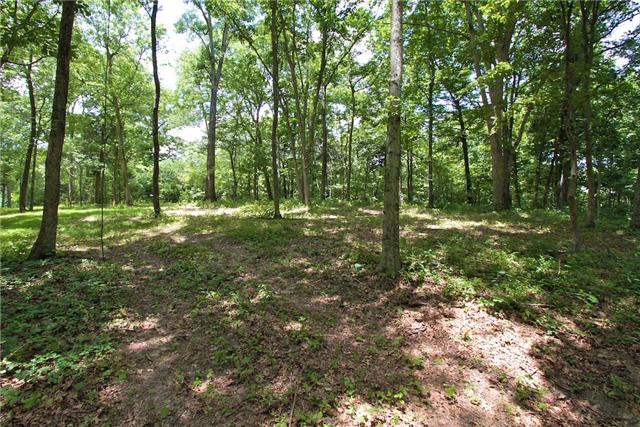 6 Poplar Hill Road Lebanon, TN 37090 - Photo 3 of 20 Gallery Image 3