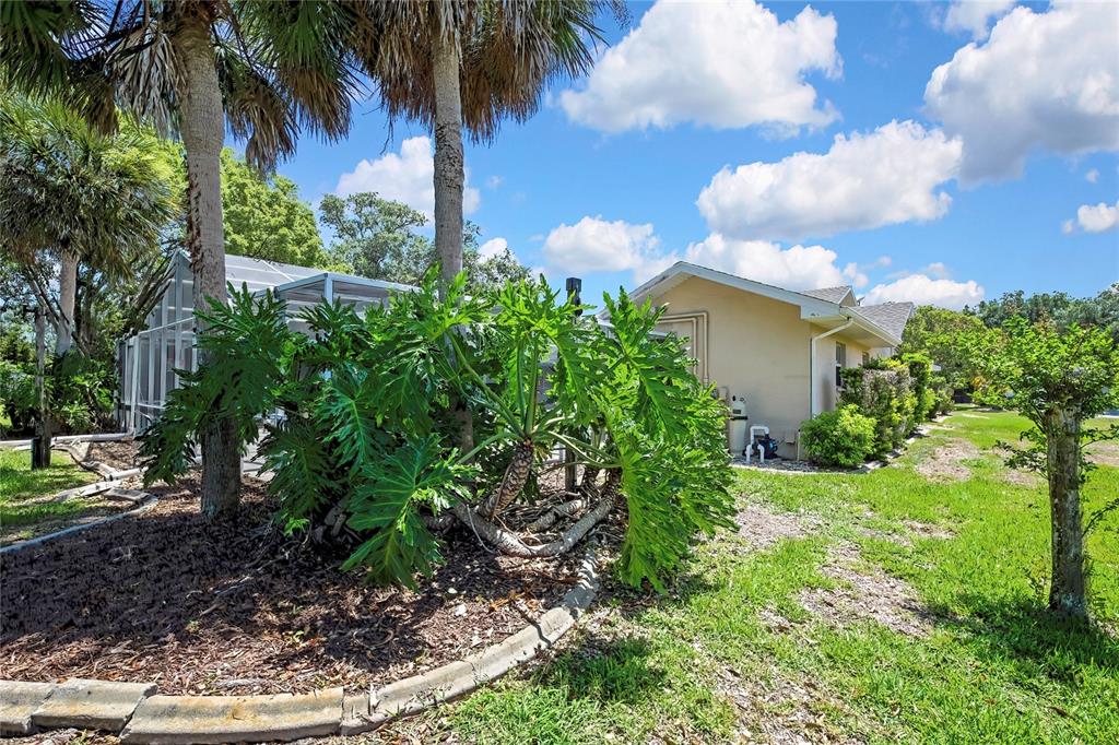 4293 River Birch Drive Spring Hill, FL 34607 - Photo 61 of 79