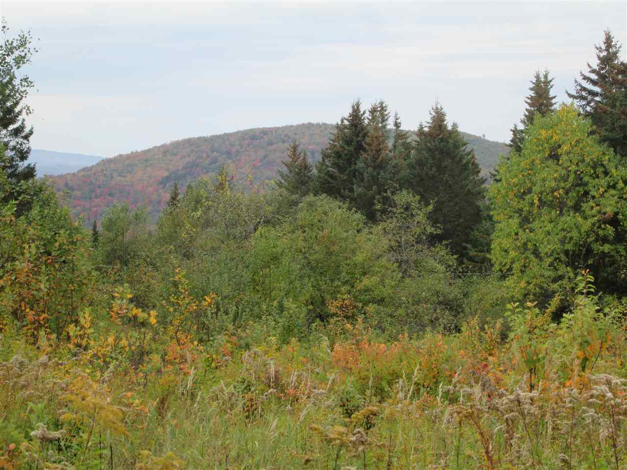 0 Haynes Road Clarksville, NH 03592 - Photo 1 of 4
