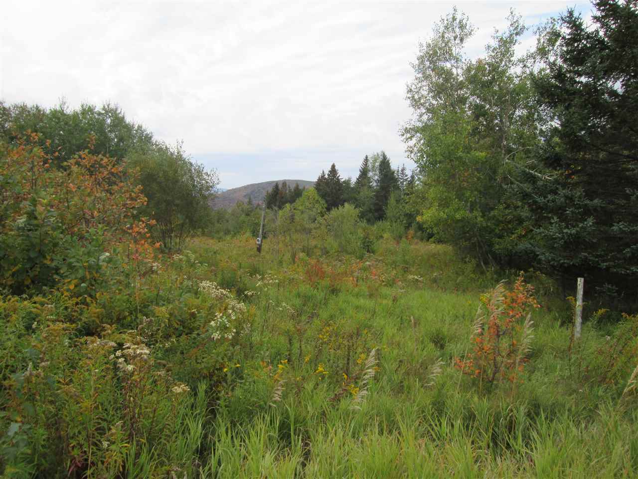 0 Haynes Road Clarksville, NH 03592 - Photo 2 of 4