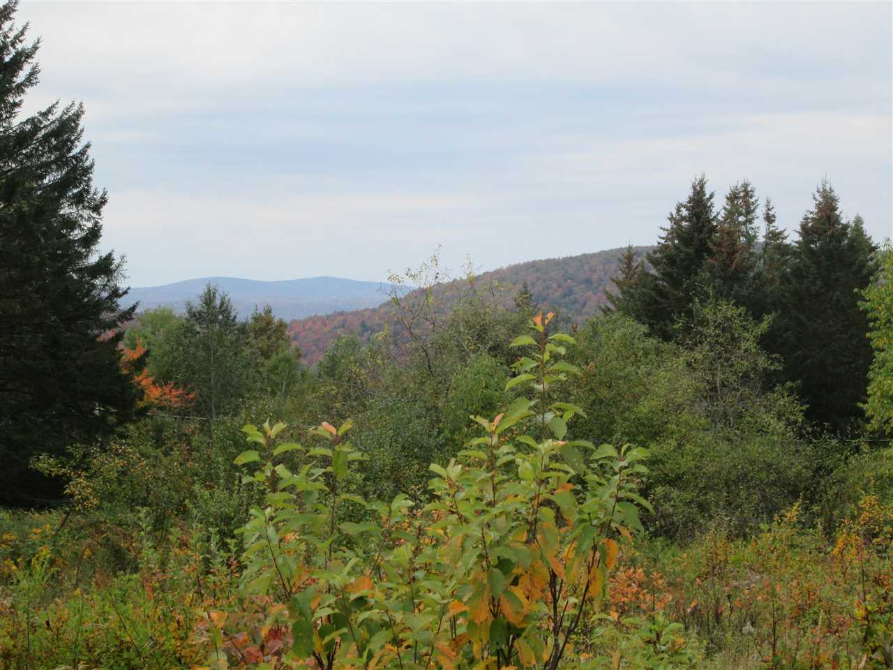 0 Haynes Road Clarksville, NH 03592 - Photo 3 of 4
