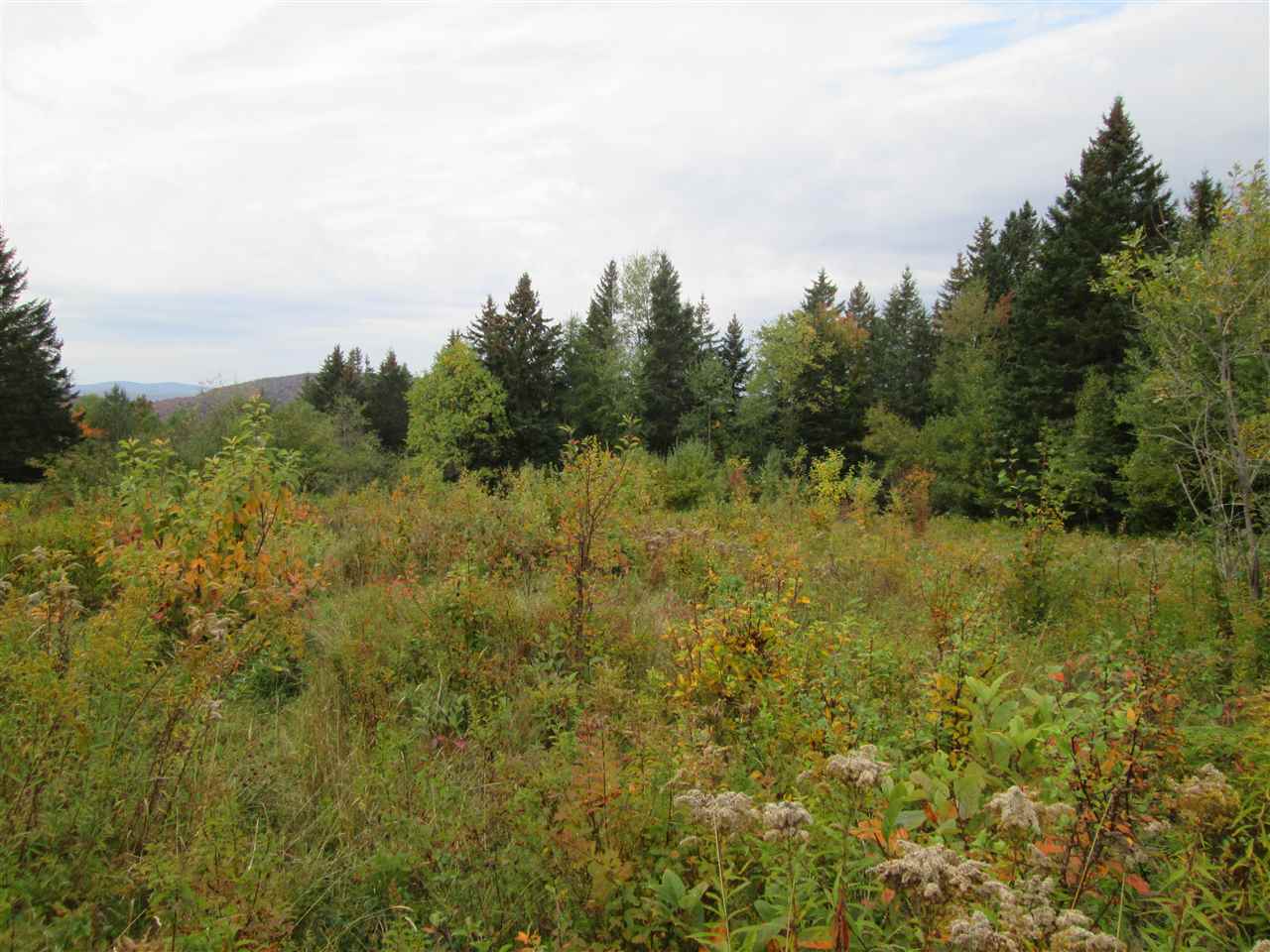 0 Haynes Road Clarksville, NH 03592 - Photo 4 of 4