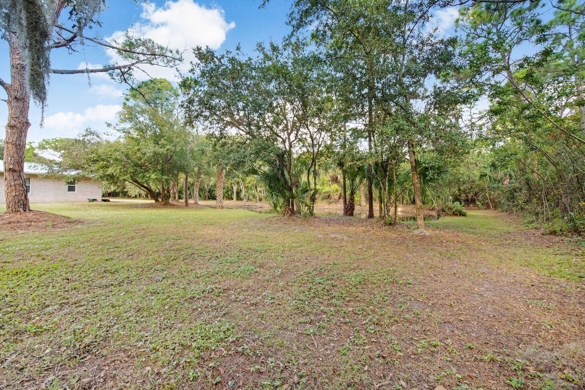 3602 Palomino Road Melbourne, FL 32934 - Photo 33 of 43 Woods and Water!