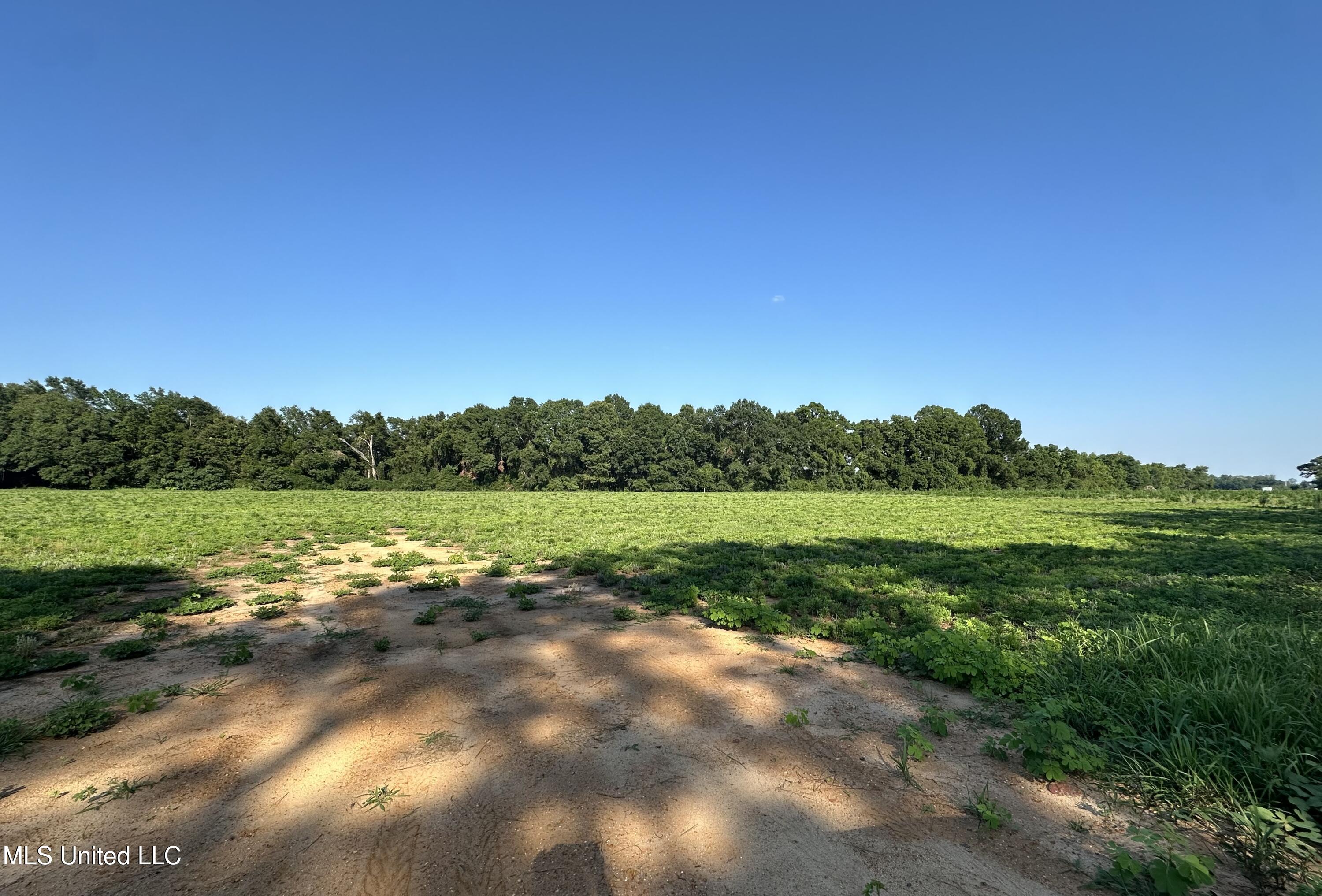 3 Marshall Smith Road Lucedale, MS 39452 - Photo 1 of 1 IMG_3223