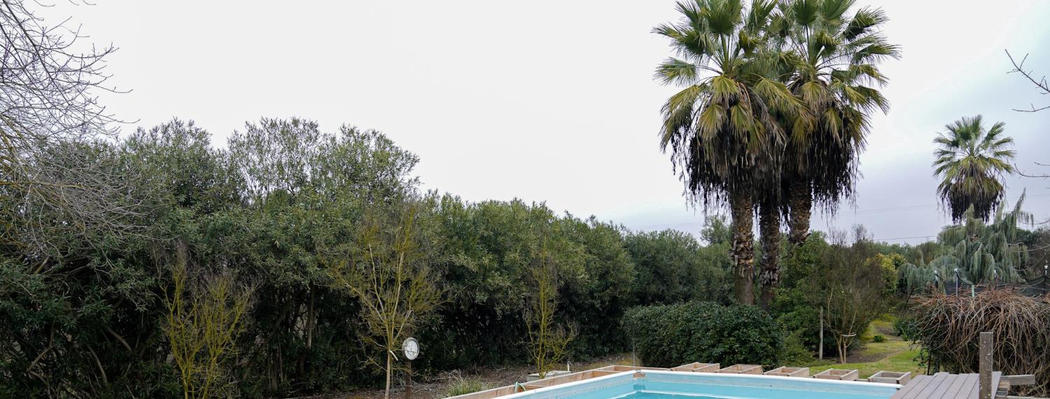 41339 Road 52 Reedley, CA 93654 - Photo 31 of 43