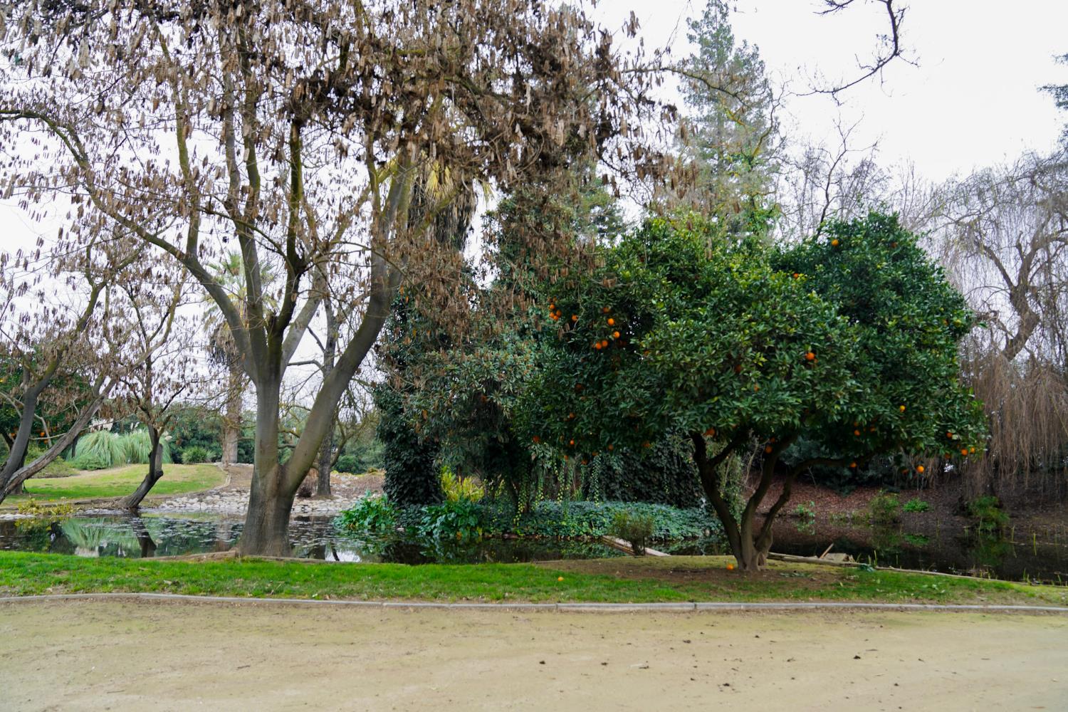 41339 Road 52 Reedley, CA 93654 - Photo 35 of 43