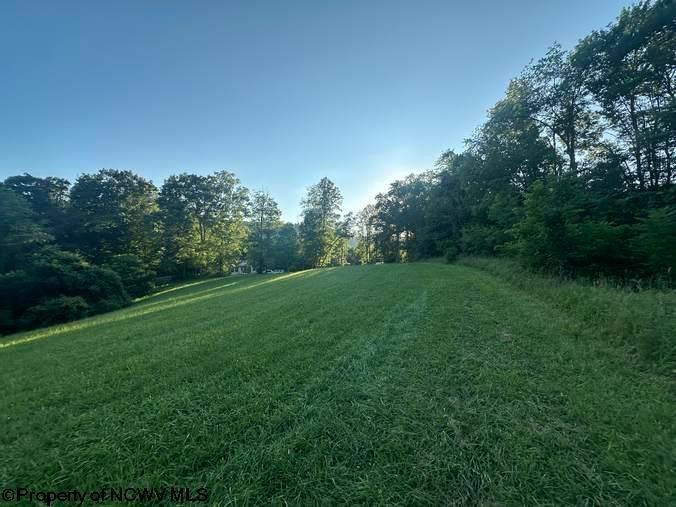 Tbd Stone Coal Road Lost Creek, WV 26385 - Photo 5 of 11 Gallery Image 5