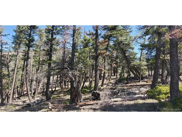 a view of outdoor space with lots of trees