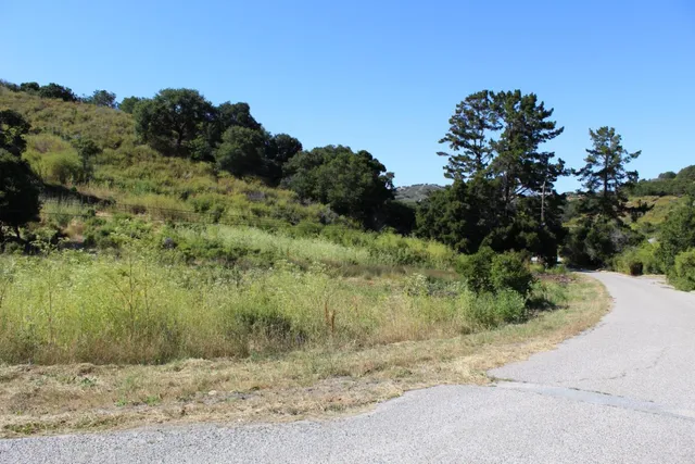 a view of a dry yard
