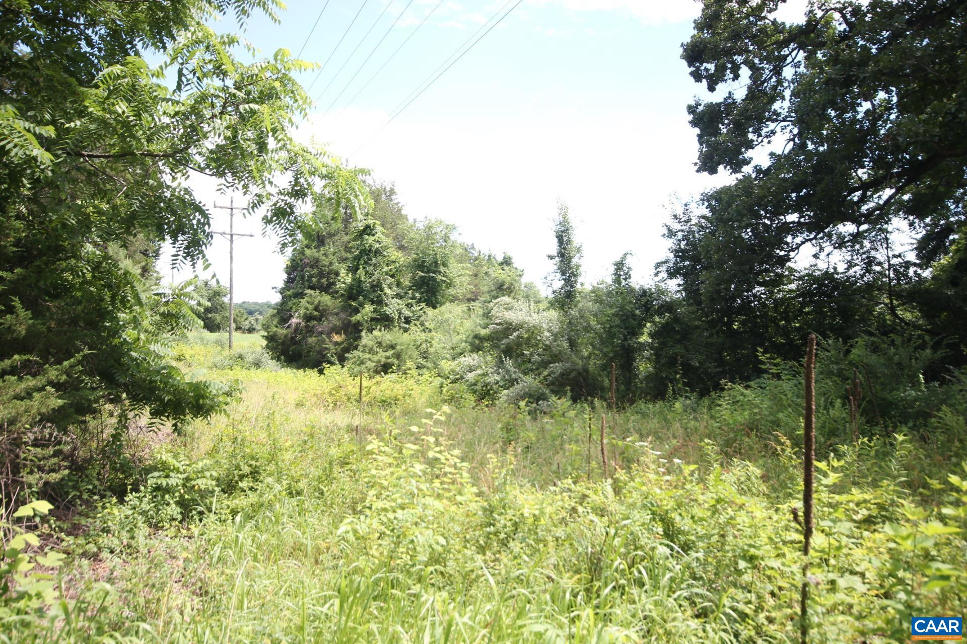 6 Welsh Run Road Ruckersville, VA 22968 - Photo 8 of 13 a view of a garden with plants and large trees