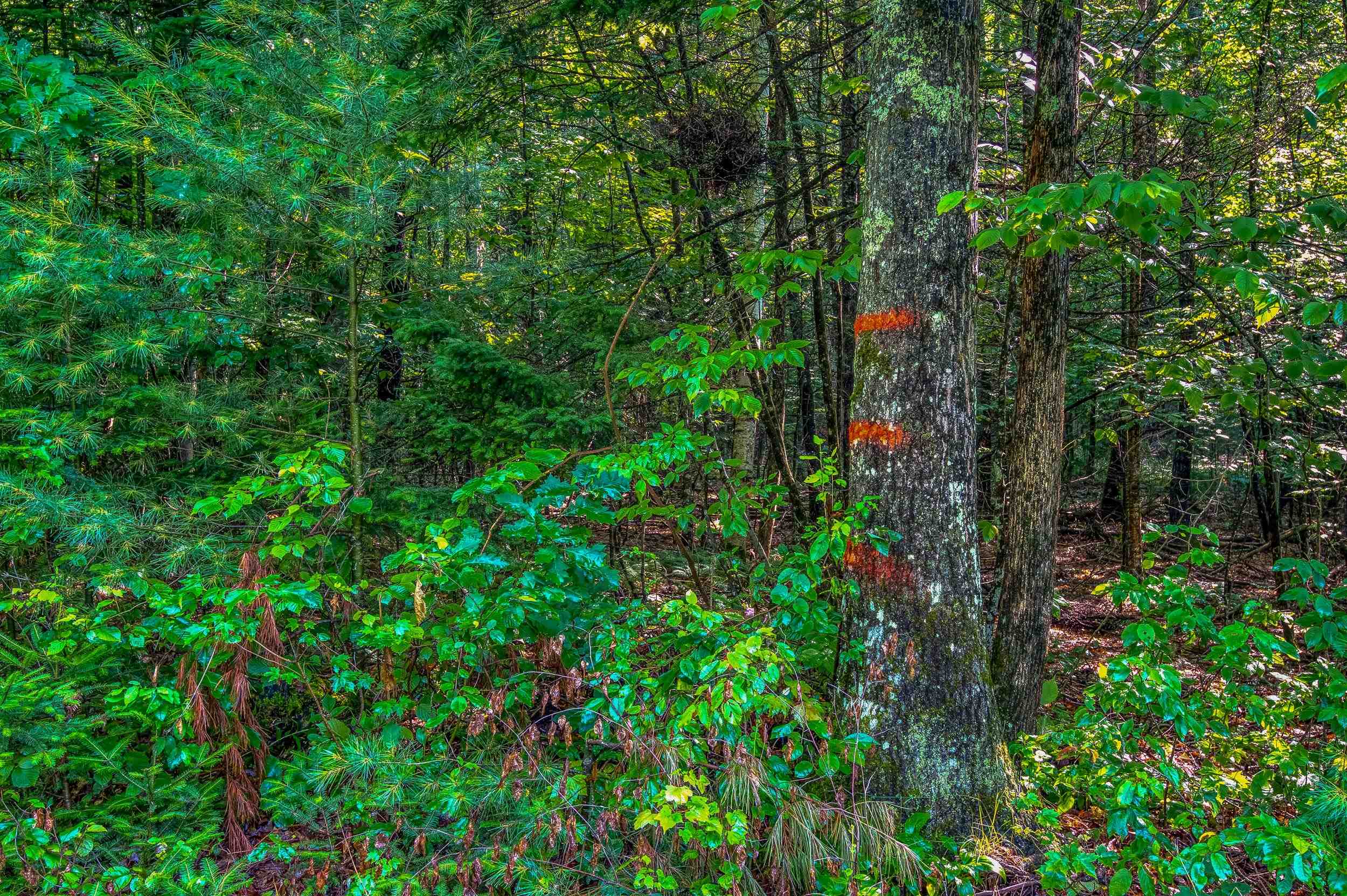 38 F Lang Road Bath, NH 03740 - Photo 11 of 14