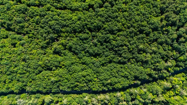 $224,000 | 38 F Lang Road, Bath, NH 03740