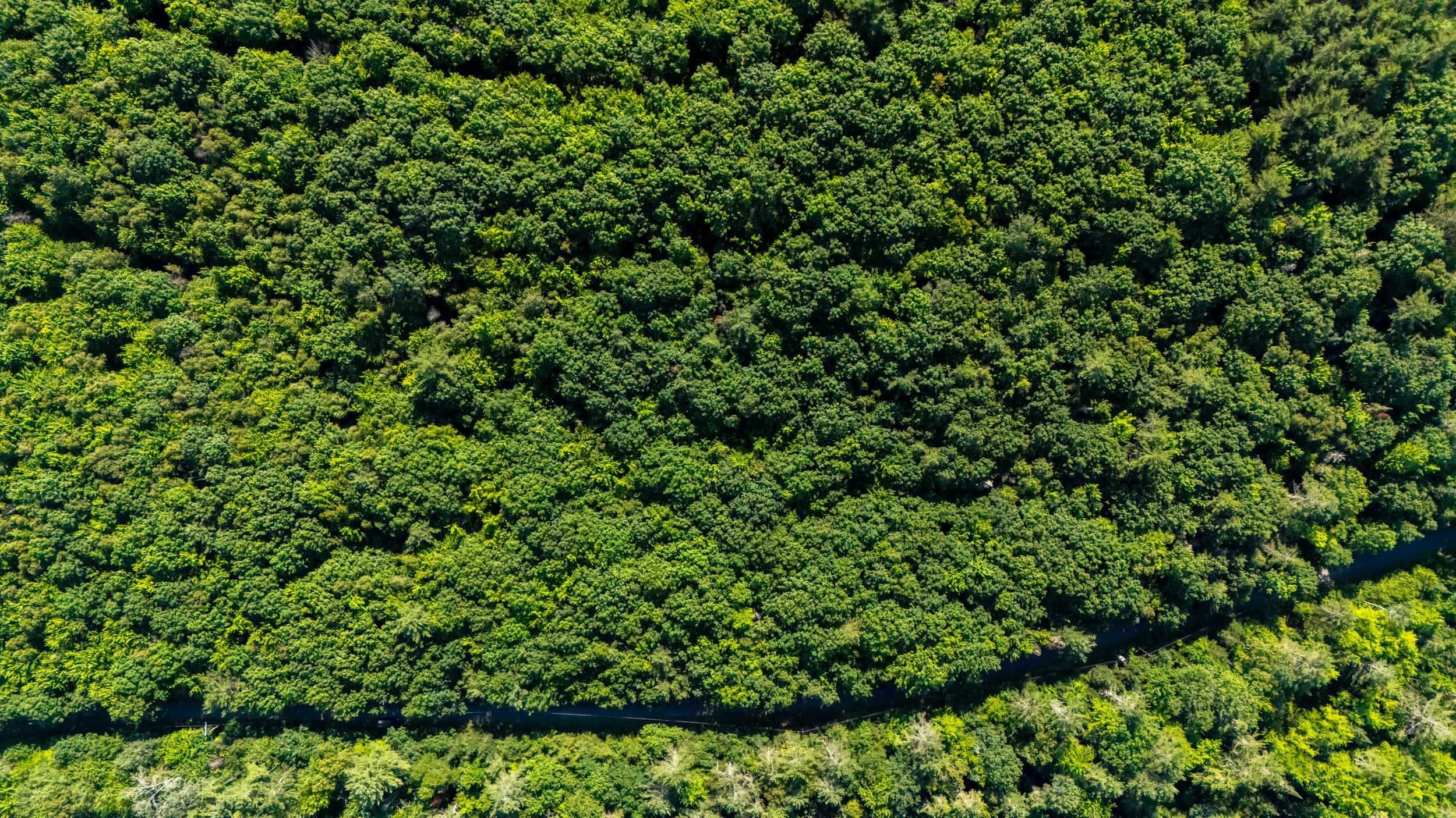 38 F Lang Road Bath, NH 03740 - Photo 14 of 14