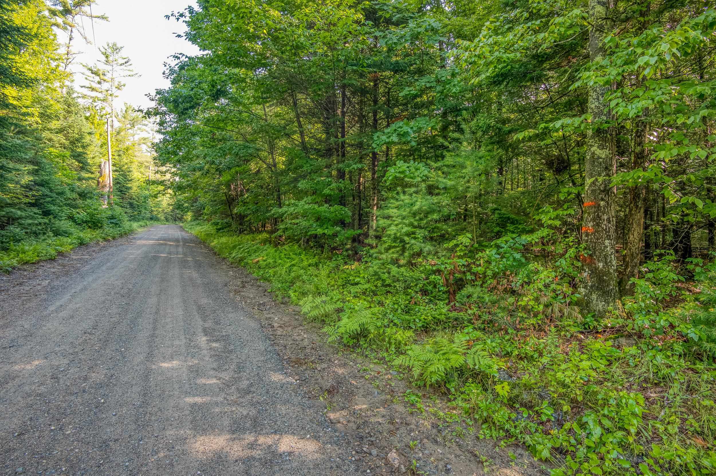 38 F Lang Road Bath, NH 03740 - Photo 6 of 14