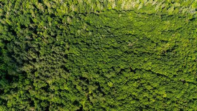 $224,000 | 38 F Lang Road, Bath, NH 03740