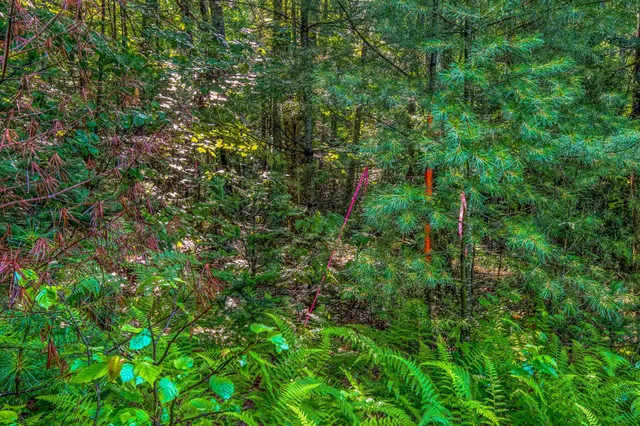 $224,000 | 38 F Lang Road, Bath, NH 03740