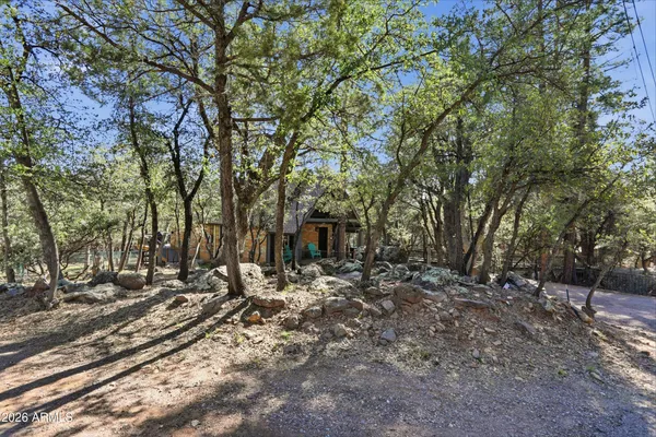 a row of trees with some trees