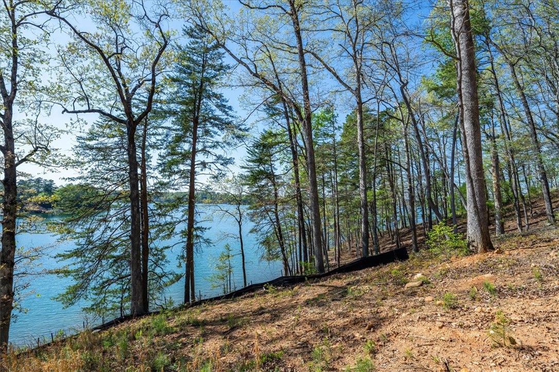 125 Kelley Ridge Road Seneca, SC 29672 - Photo 21 of 28