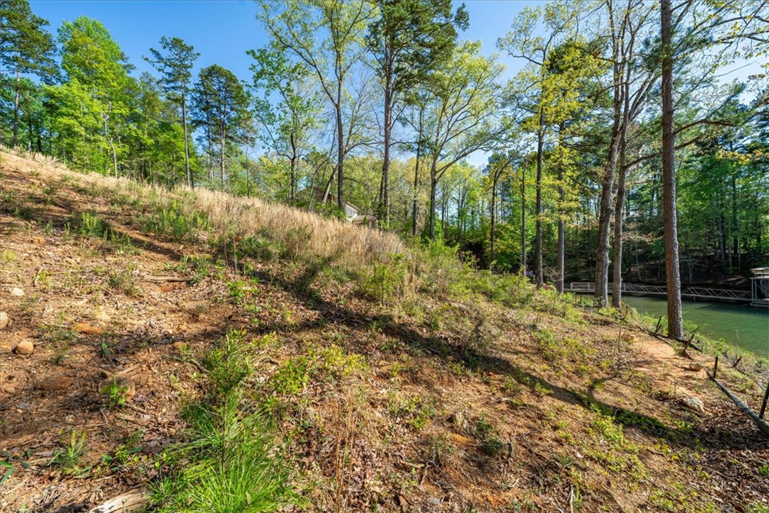 125 Kelley Ridge Road Seneca, SC 29672 - Photo 22 of 28