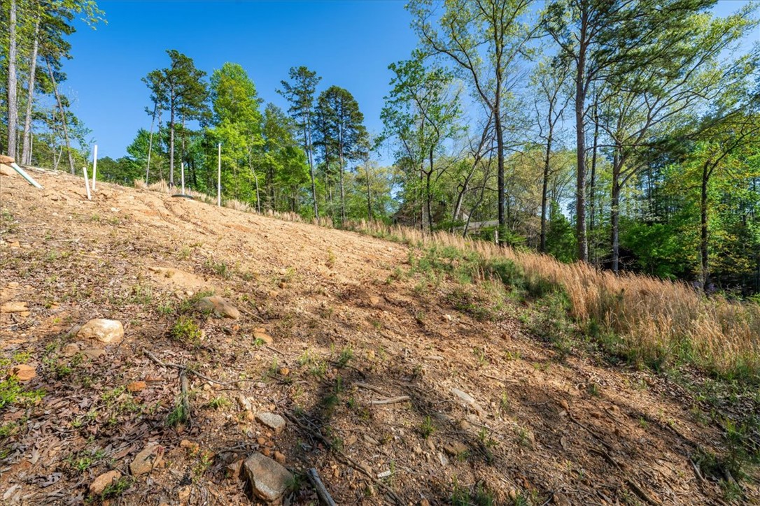 125 Kelley Ridge Road Seneca, SC 29672 - Photo 23 of 28