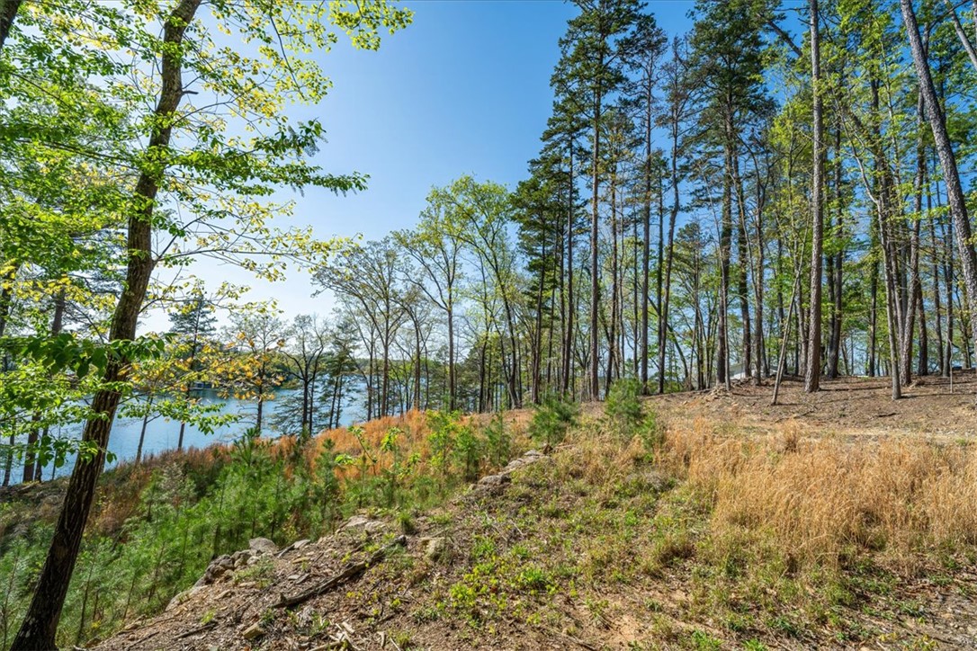 125 Kelley Ridge Road Seneca, SC 29672 - Photo 24 of 28