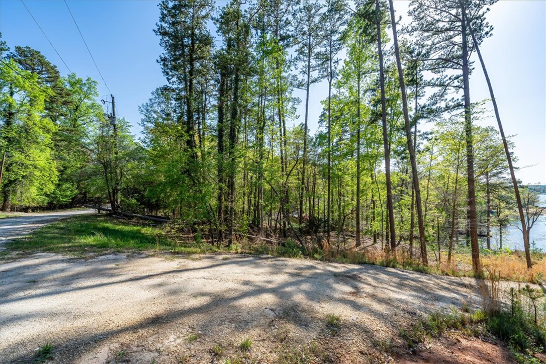 125 Kelley Ridge Road Seneca, SC 29672 - Photo 25 of 28