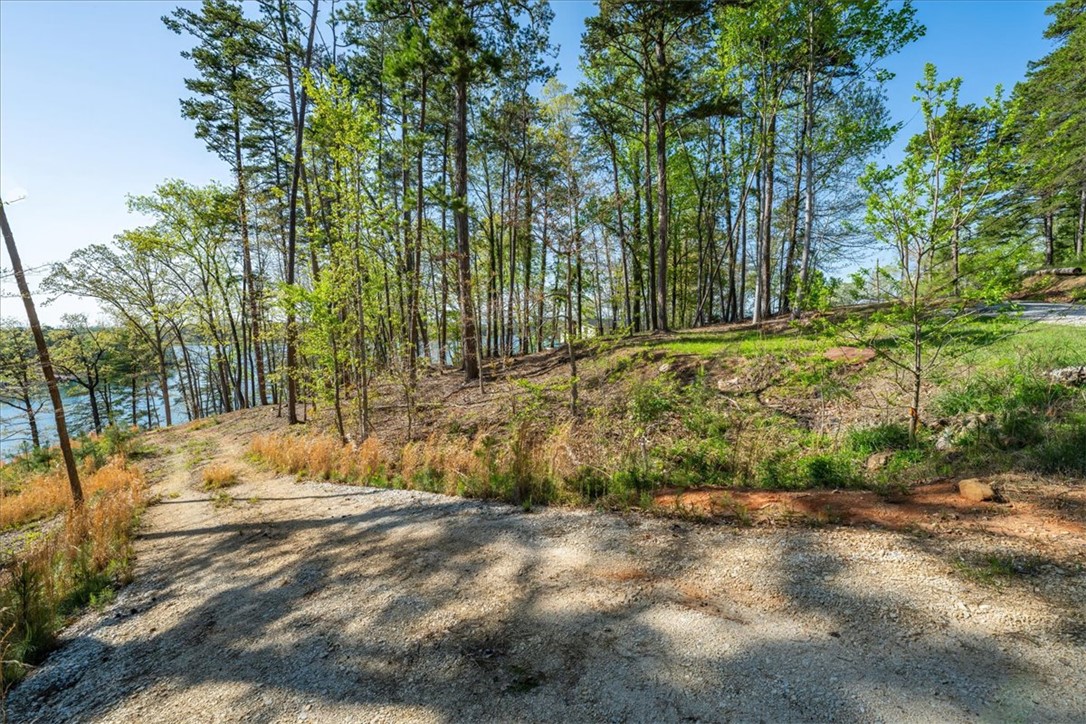 125 Kelley Ridge Road Seneca, SC 29672 - Photo 26 of 28