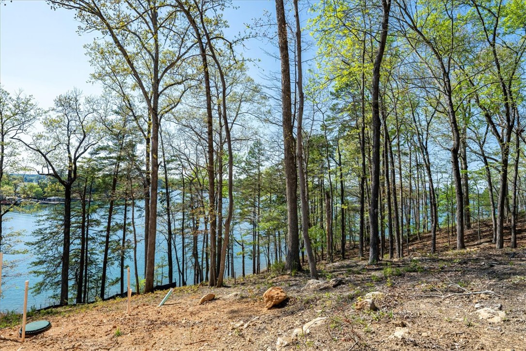 125 Kelley Ridge Road Seneca, SC 29672 - Photo 3 of 28