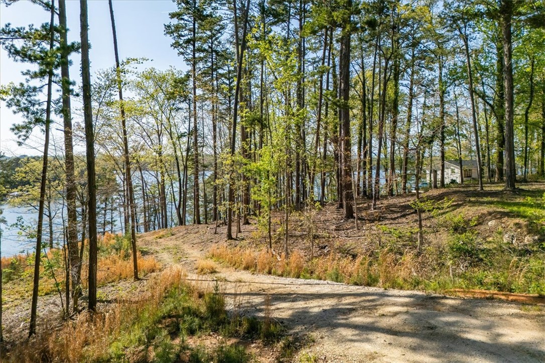 125 Kelley Ridge Road Seneca, SC 29672 - Photo 4 of 28