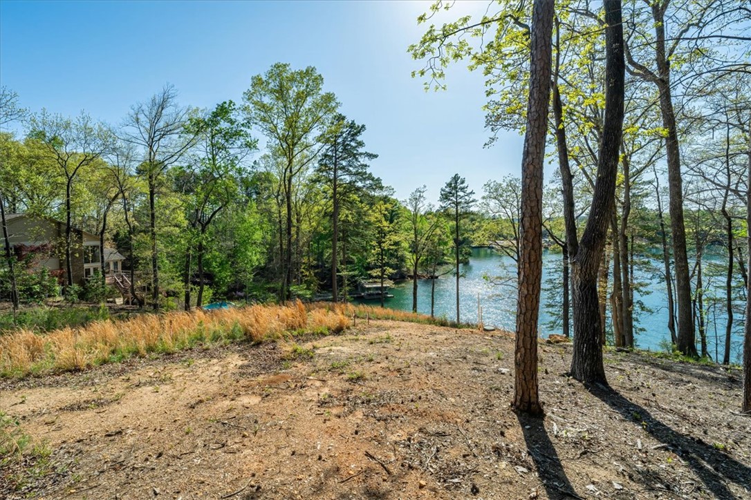 125 Kelley Ridge Road Seneca, SC 29672 - Photo 7 of 28