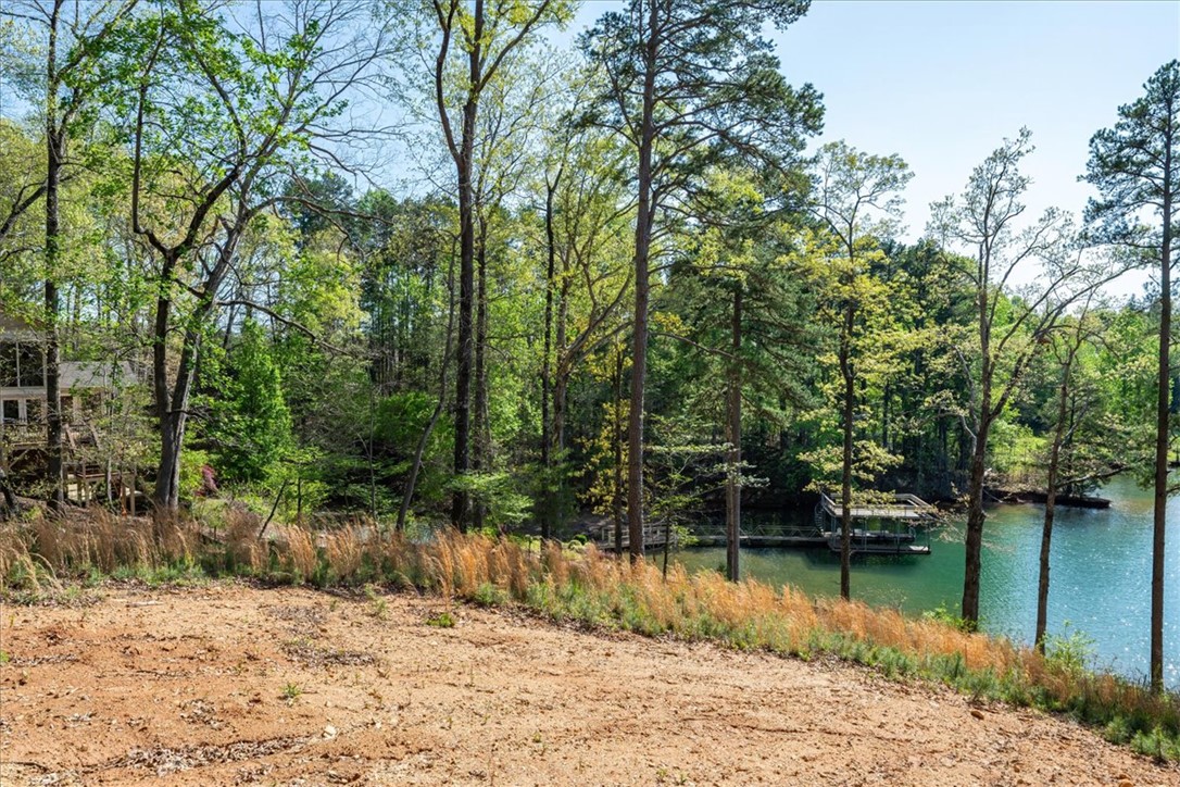 125 Kelley Ridge Road Seneca, SC 29672 - Photo 8 of 28