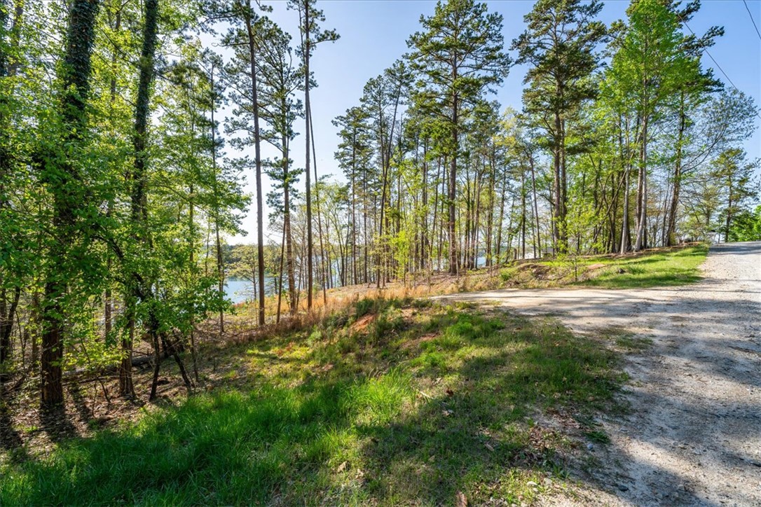 125 Kelley Ridge Road Seneca, SC 29672 - Photo 9 of 28