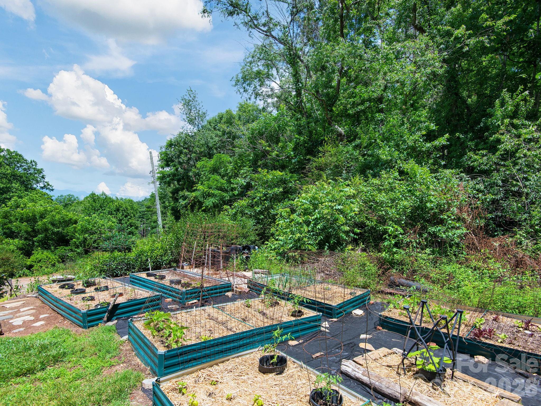 46 Perennial Ridge Weaverville, NC 28787 - Photo 28 of 44