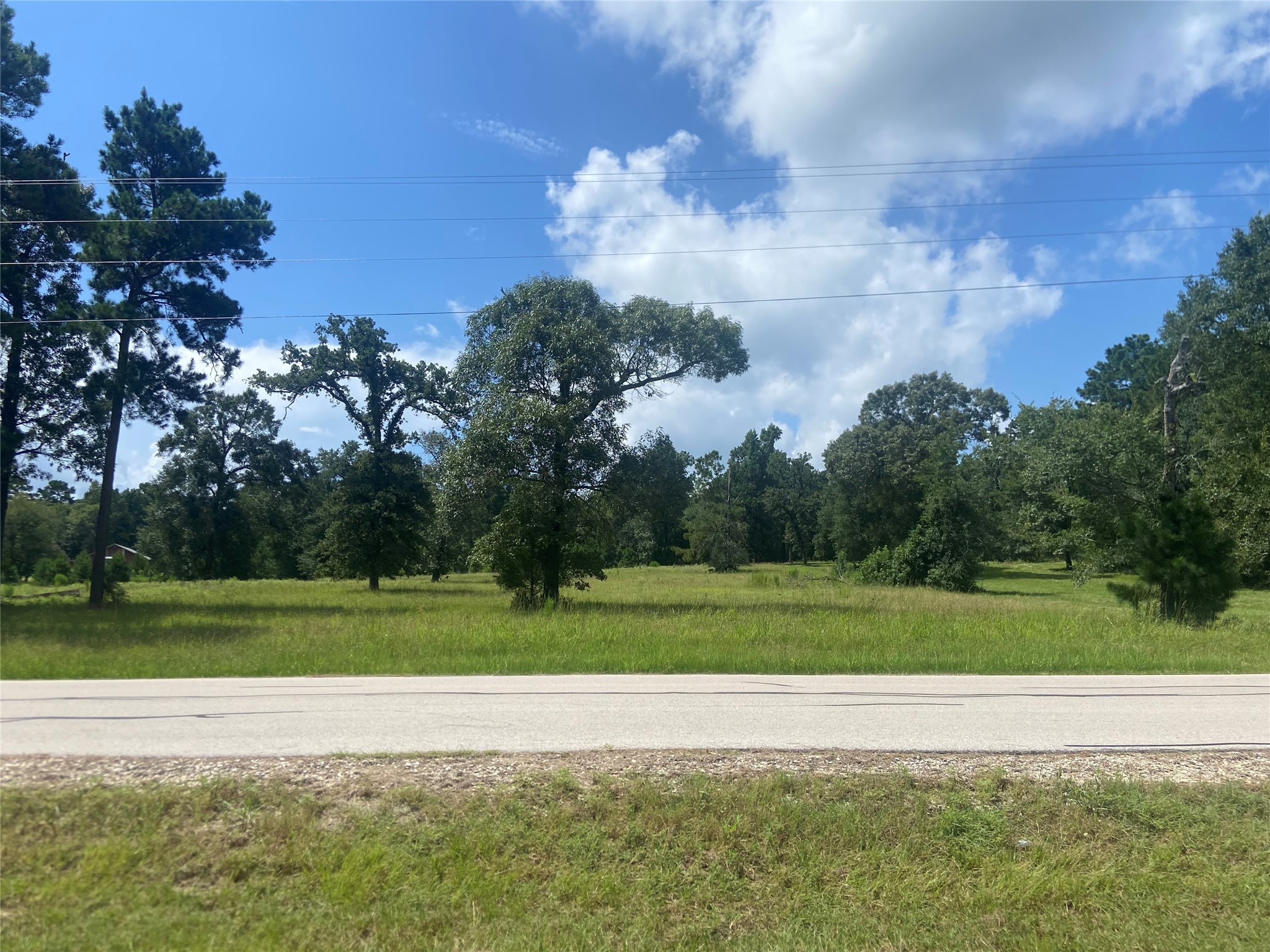 Lot 2 Dahlia Road Huntsville, TX 77320 - Photo 2 of 6 This is a gorgeous lot to build your dream home on!