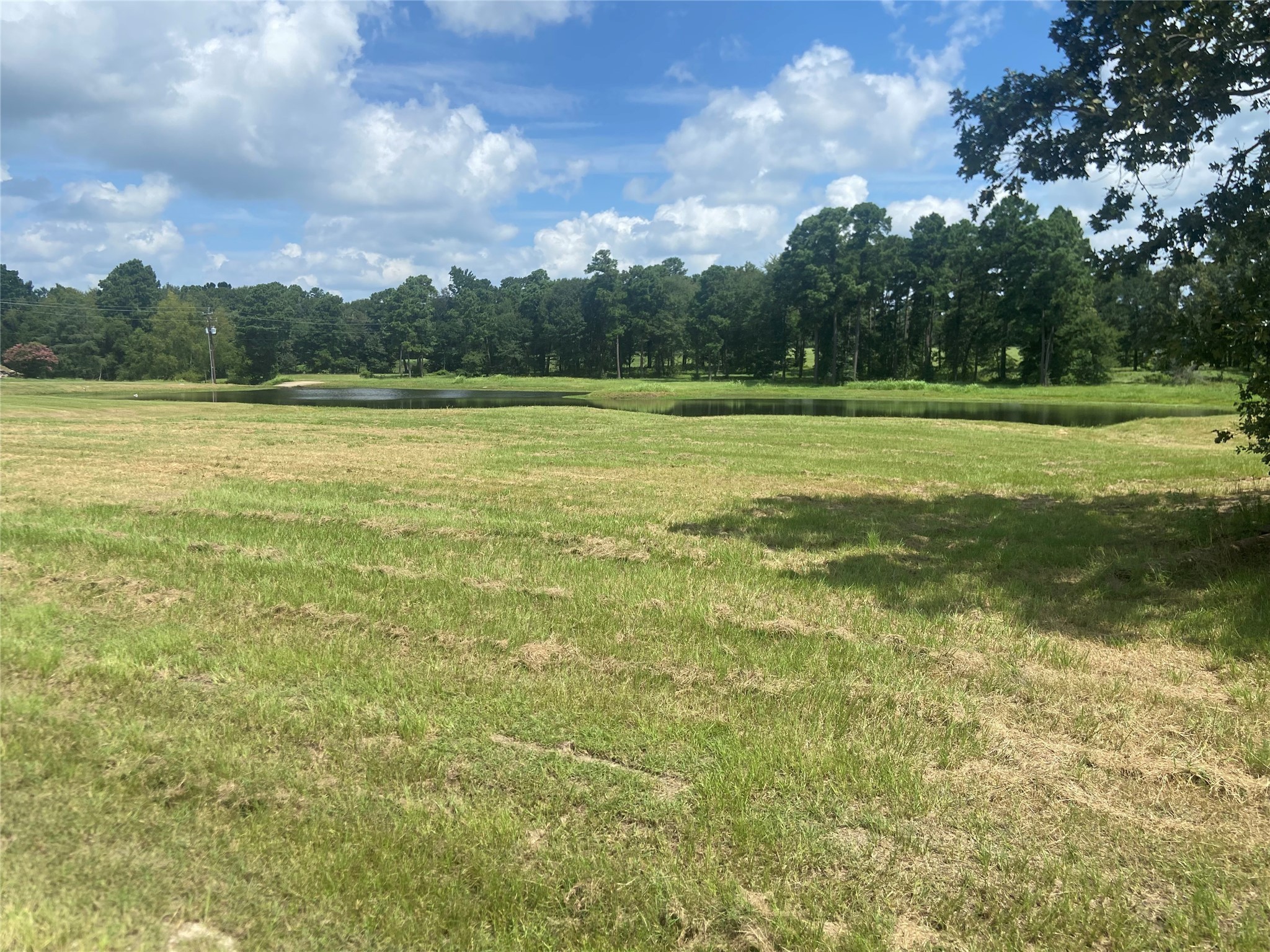 Lot 2 Dahlia Road Huntsville, TX 77320 - Photo 5 of 6 View of the lake!