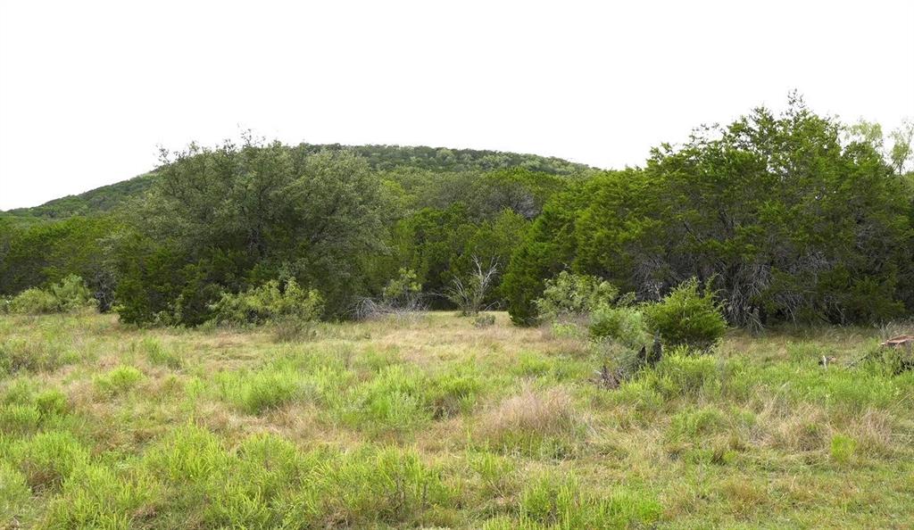 494 Co Road Strawn, TX 76475 - Photo 7 of 13 a view of a yard with a tree
