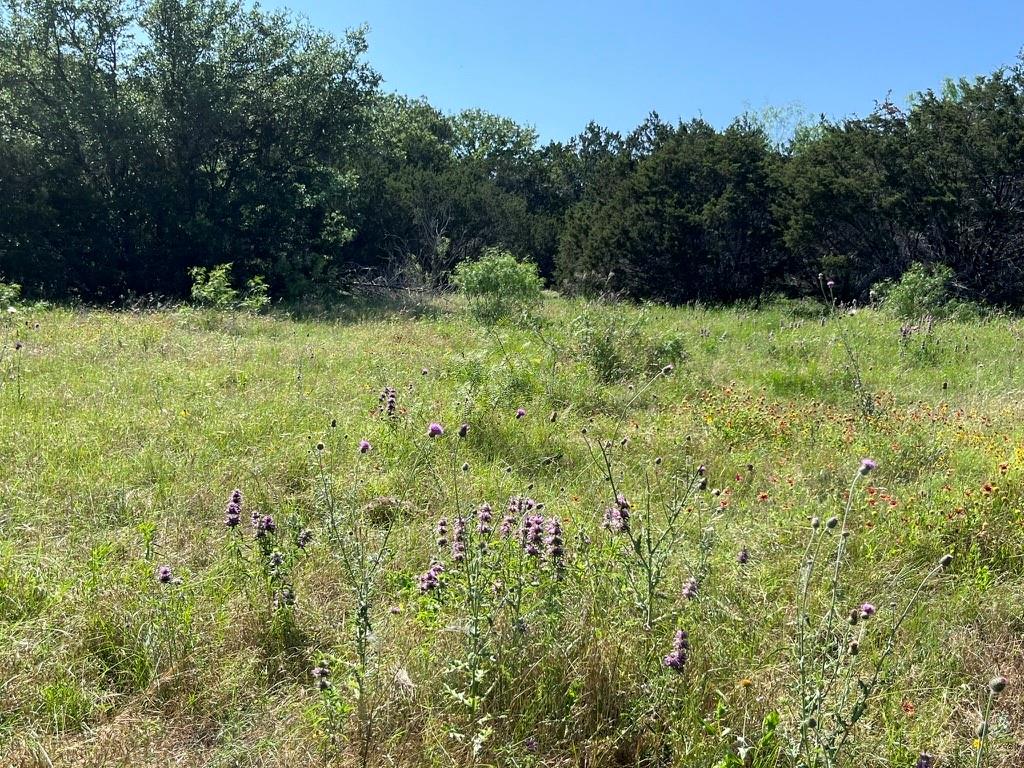 494 Co Road Strawn, TX 76475 - Photo 10 of 13 a view of outdoor space and yard