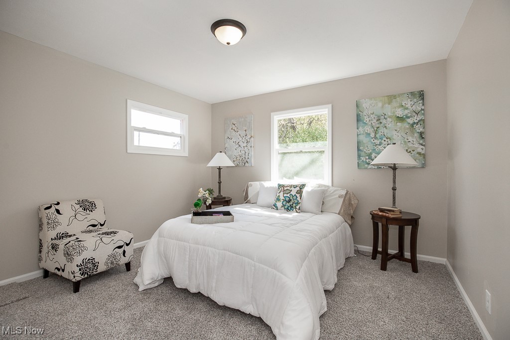 4670 Green Road Cleveland, OH 44128 - Photo 19 of 38 Bedroom featuring multiple windows and carpet flooring