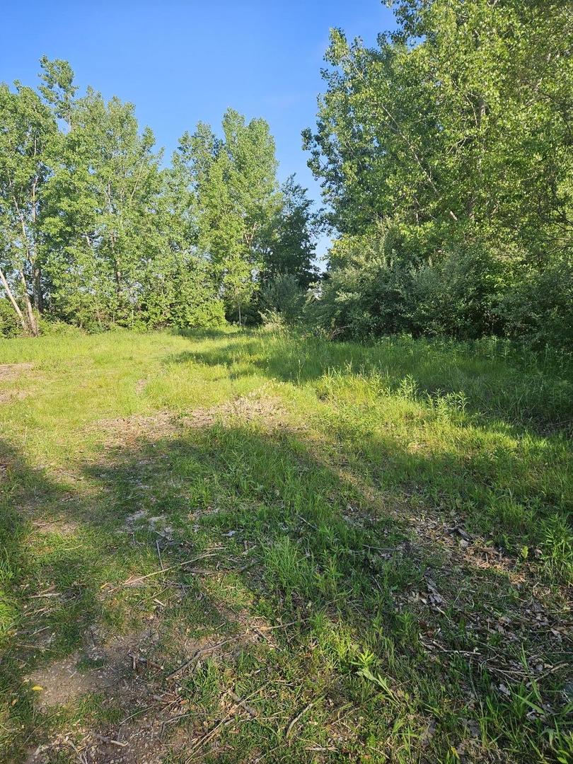 Lot 1 Richmond Road North McHenry, IL 60050 - Photo 7 of 10