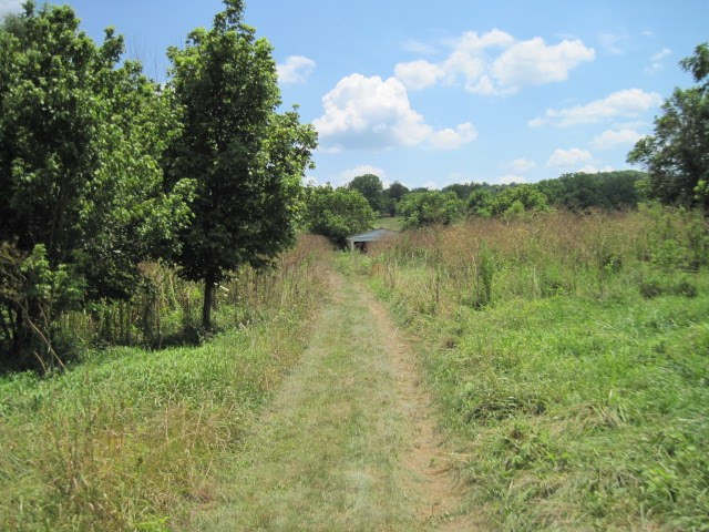 2915 Corinth Road Corinth, KY 41010 - Photo 7 of 10 Gallery Image 7